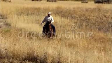 一个牛仔骑着他的马在一片金色草地的斜坡上的视频。